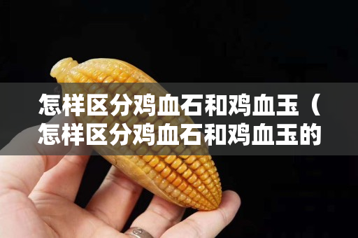 怎樣區分雞血石和雞血玉（怎樣區分雞血石和雞血玉的區別）