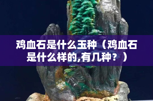 雞血石是什么玉種（雞血石是什么樣的,有幾種？）