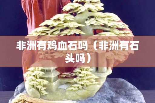 非洲有雞血石嗎（非洲有石頭嗎）