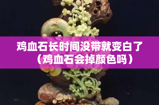 雞血石長(zhǎng)時(shí)間沒帶就變白了（雞血石會(huì)掉顏色嗎）