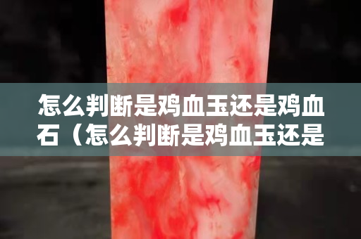 怎么判斷是雞血玉還是雞血石（怎么判斷是雞血玉還是雞血石呢）