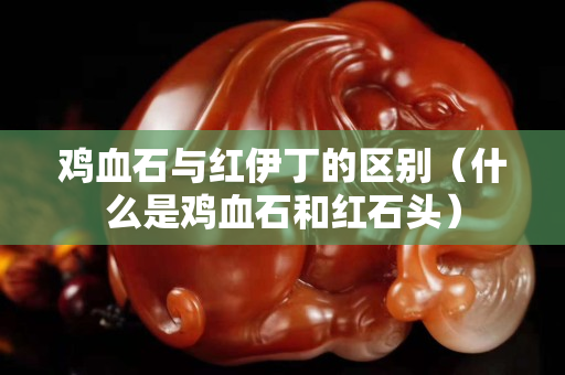 雞血石與紅伊丁的區別（什么是雞血石和紅石頭）