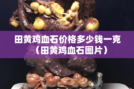 田黃雞血石價格多少錢一克（田黃雞血石圖片）