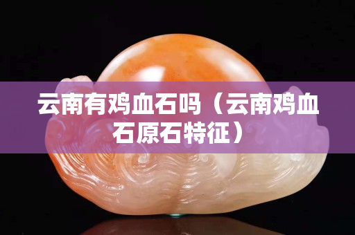 云南有雞血石嗎（云南雞血石原石特征）