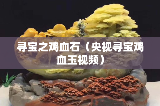 尋寶之雞血石（央視尋寶雞血玉視頻）
