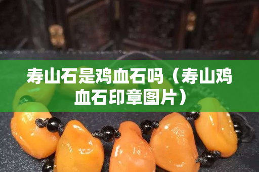 壽山石是雞血石嗎（壽山雞血石印章圖片）