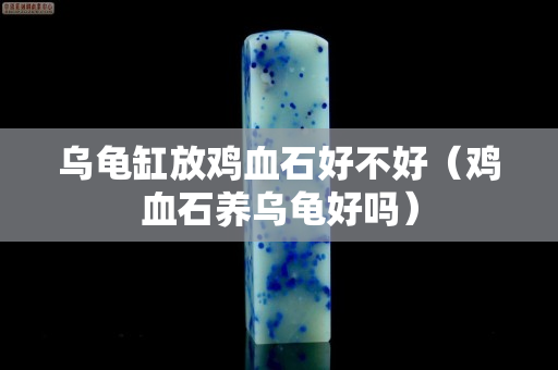 烏龜缸放雞血石好不好（雞血石養烏龜好嗎）