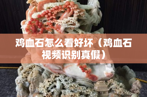 雞血石怎么看好壞（雞血石視頻識別真假）