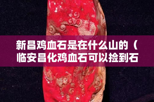 新昌雞血石是在什么山的（臨安昌化雞血石可以撿到石頭）