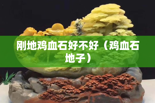 剛地雞血石好不好（雞血石地子）