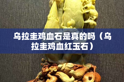 烏拉圭雞血石是真的嗎（烏拉圭雞血紅玉石）