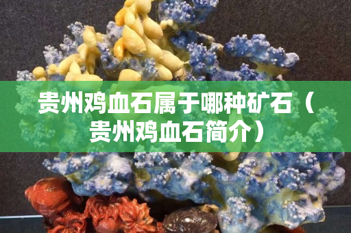 貴州雞血石屬于哪種礦石（貴州雞血石簡介）