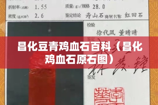 昌化豆青雞血石百科（昌化雞血石原石圖）
