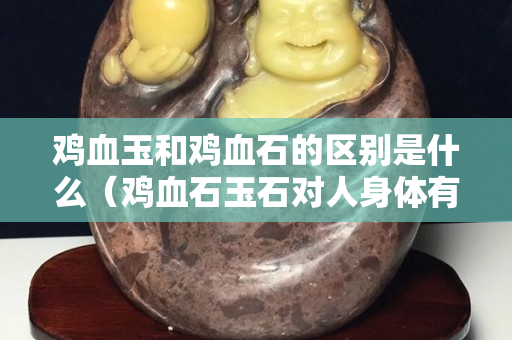 雞血玉和雞血石的區(qū)別是什么（雞血石玉石對(duì)人身體有什么好處？）