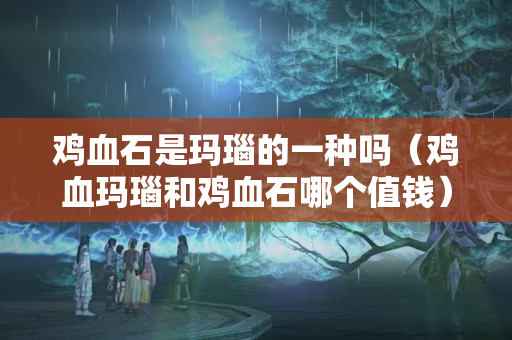 雞血石是瑪瑙的一種嗎（雞血瑪瑙和雞血石哪個值錢）
