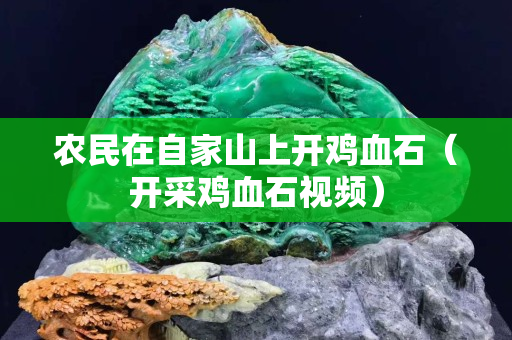 農民在自家山上開雞血石（開采雞血石視頻）