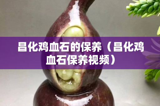 昌化雞血石的保養（昌化雞血石保養視頻）