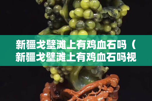新疆戈壁灘上有雞血石嗎（新疆戈壁灘上有雞血石嗎視頻）