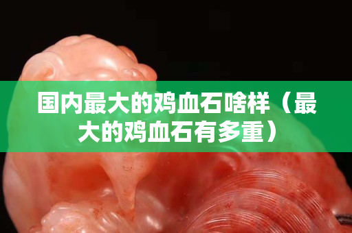 國內最大的雞血石啥樣（最大的雞血石有多重）