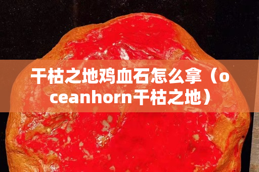 干枯之地雞血石怎么拿（oceanhorn干枯之地）