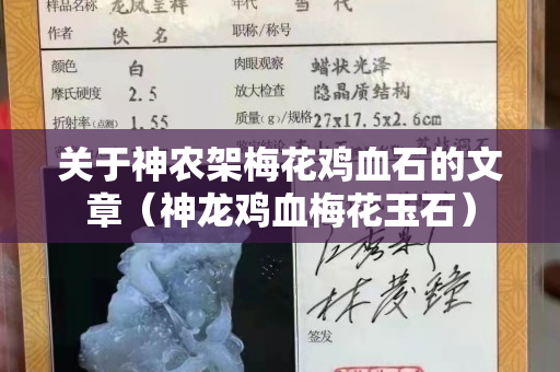 關(guān)于神農(nóng)架梅花雞血石的文章（神龍雞血梅花玉石）