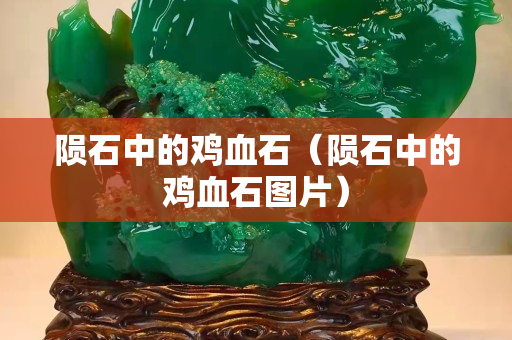 隕石中的雞血石（隕石中的雞血石圖片）