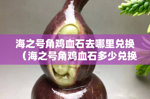 海之號角雞血石去哪里兌換（海之號角雞血石多少兌換）