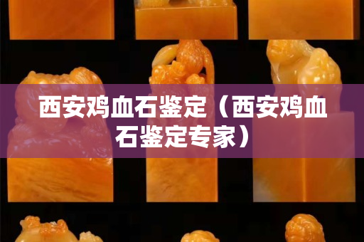 西安雞血石鑒定（西安雞血石鑒定專家）