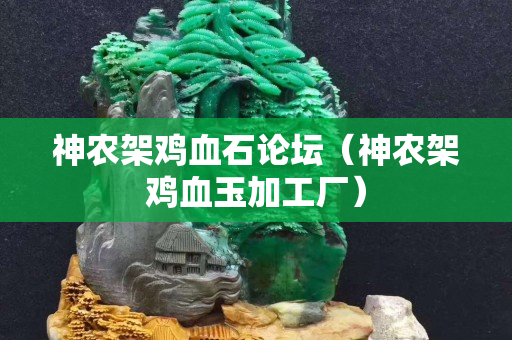 神農(nóng)架雞血石論壇（神農(nóng)架雞血玉加工廠）