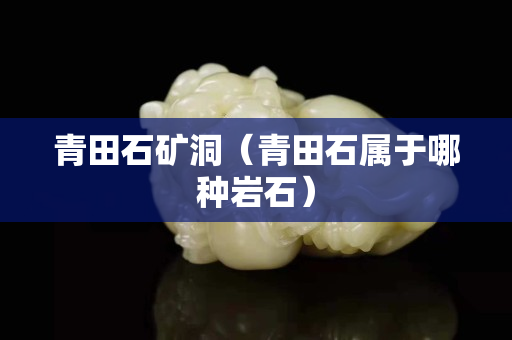 青田石礦洞（青田石屬于哪種巖石）