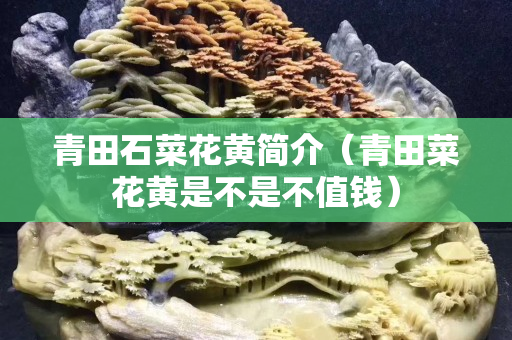青田石菜花黃簡介（青田菜花黃是不是不值錢）