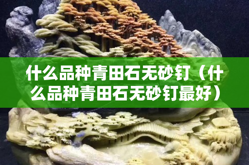 什么品種青田石無砂釘（什么品種青田石無砂釘最好）