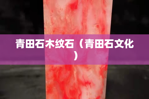青田石木紋石（青田石文化）
