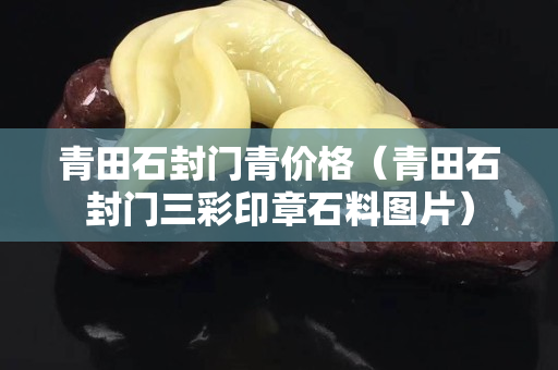 青田石封門青價(jià)格（青田石封門三彩印章石料圖片）