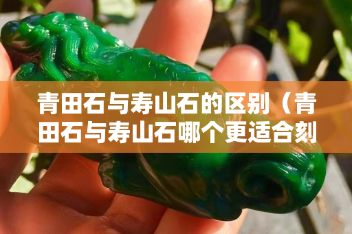 青田石與壽山石的區別（青田石與壽山石哪個更適合刻印章）
