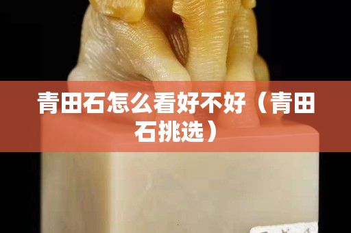 青田石怎么看好不好（青田石挑選）
