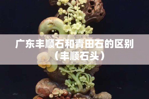 廣東豐順石和青田石的區(qū)別（豐順石頭）