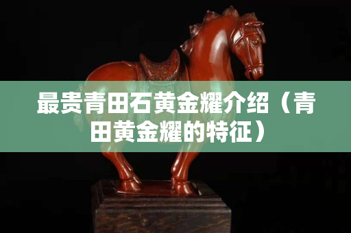 最貴青田石黃金耀介紹（青田黃金耀的特征）