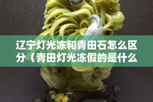 遼寧燈光凍和青田石怎么區分（青田燈光凍假的是什么樣的）