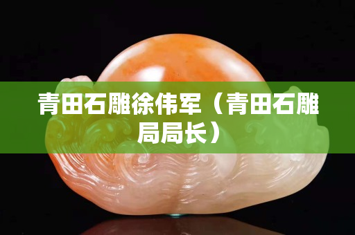 青田石雕徐偉軍（青田石雕局局長(zhǎng)）
