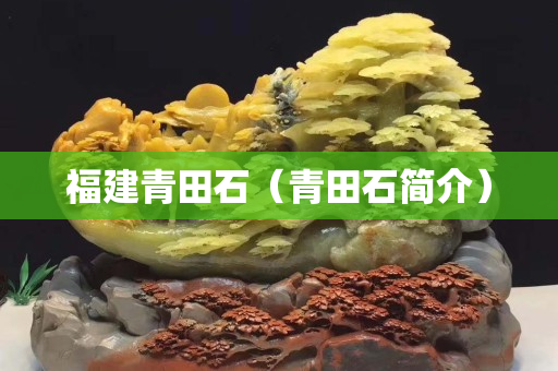 福建青田石（青田石簡介）