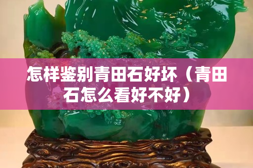 怎樣鑒別青田石好壞（青田石怎么看好不好）