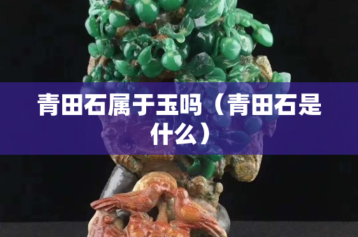 青田石屬于玉嗎（青田石是什么）