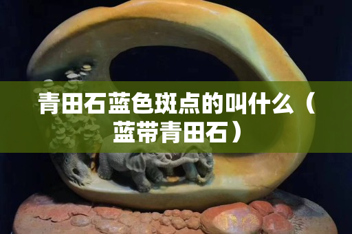 青田石藍(lán)色斑點(diǎn)的叫什么（藍(lán)帶青田石）