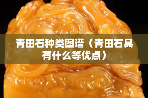 青田石種類圖譜（青田石具有什么等優點）