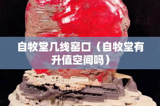 自牧堂幾線窯口（自牧堂有升值空間嗎）
