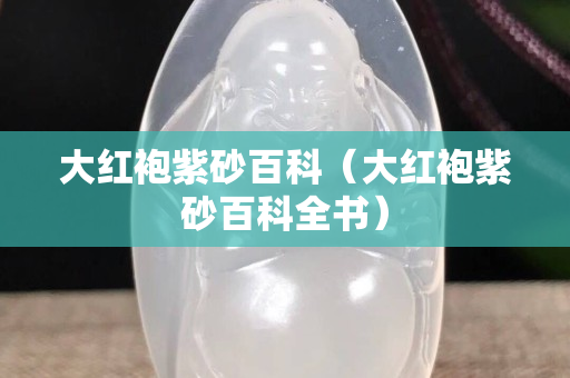 大紅袍紫砂百科（大紅袍紫砂百科全書）
