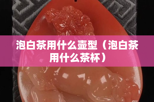 泡白茶用什么壺型（泡白茶用什么茶杯）