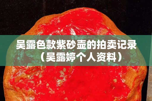 吳露色款紫砂壺的拍賣記錄（吳露婷個人資料）