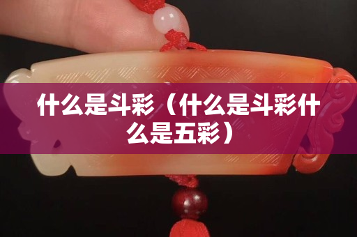 什么是斗彩（什么是斗彩什么是五彩）